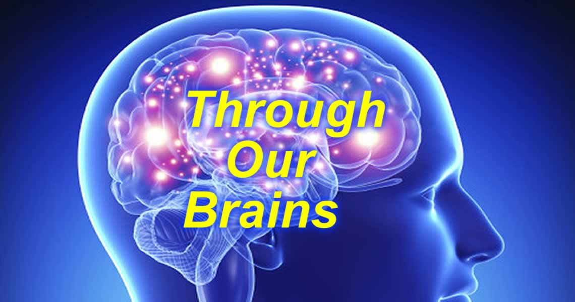 Through Our Brains